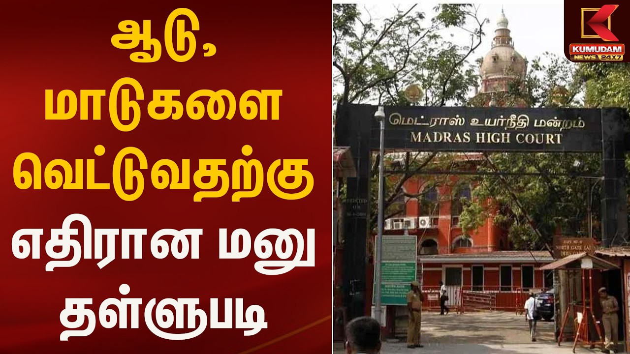 ஆடு, மாடுகளை வெட்டுவதற்கு எதிரான மனு தள்ளுபடி | Madras High Court | Kumudam News