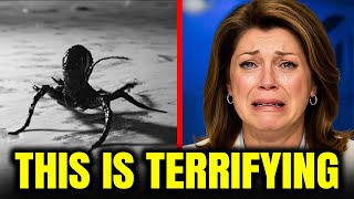 Archaeologist discloses Haunting Revelation About Shadowy Entity Hidden Beneath Ancient Pyramid