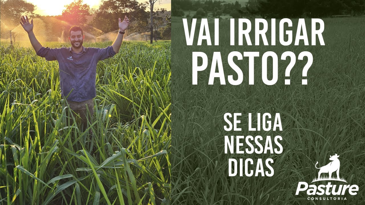 IRRIGAÇÃO DE PASTAGEM: O que saber antes de investir?