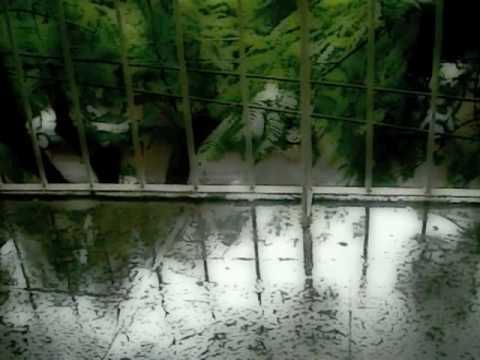 Yo lluevo (segunda versión)-El Grao/Sr. Gonzalez