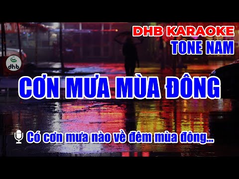 Karaoke beat gốc - Cơn mưa mùa đông - Lê Hiếu | DHB Music