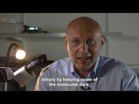 Stefan Hell Saw Microscopes Clearly