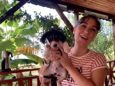 Suçluluk duygusunu yenmek