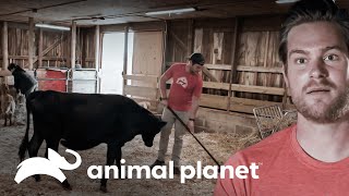 Thumbnail del capítulo