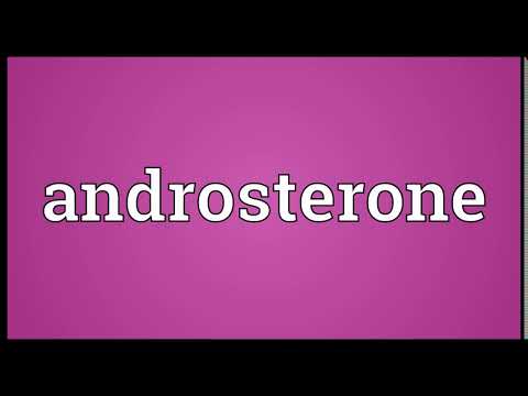 Androsterone Meaning | Wordogram