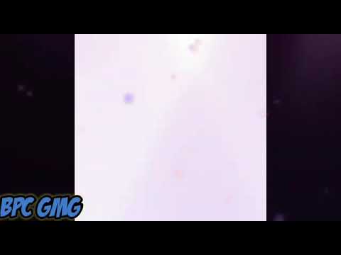 Tutorial cara menghibur diri bagi jomblo saat lebaran😁