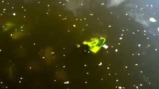 TOKiMONSTA - Lovely Soul