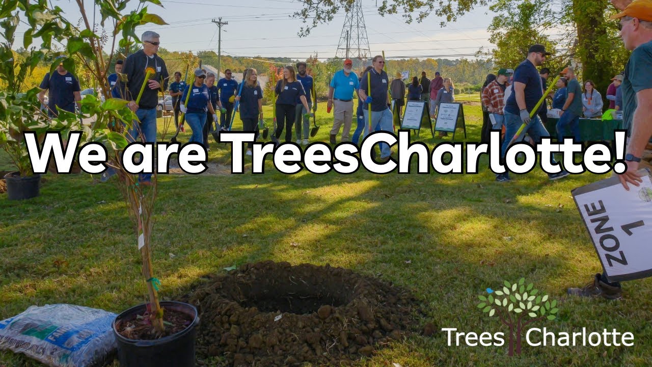 We are TreesCharlotte!
