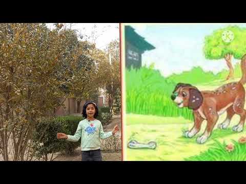 Story: The Greedy Dog | time to learn with daud zaigham