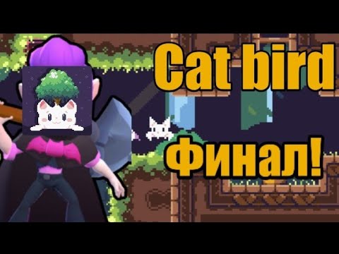 Долбанутый школьник Играет в Cat bird Финал!