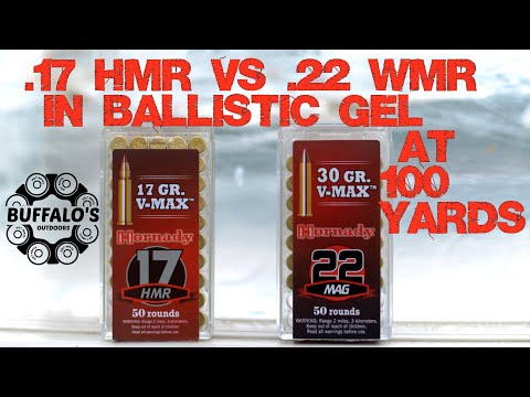 V-MAX BALLISTISCHER GELTEST ~ .22 WMR vs. .17 HMR