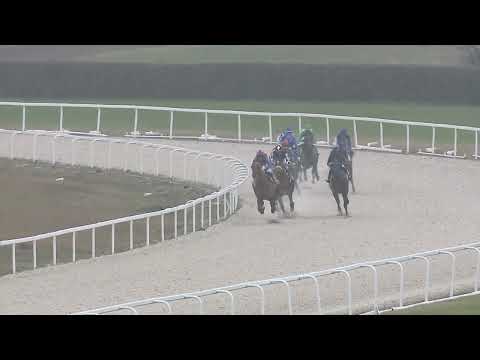 2022.11.27. 03. futam - MAGYAR HUSZÁR ÉS LOVASHAGYOMÁNYŐRZŐ TÁRSASÁG DÍJA-VIGASZ DÍJ (II.kat.)