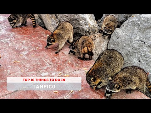 Top 10 Things to do in Tampico Mexico - An Amazing Town You've Never Heard Of