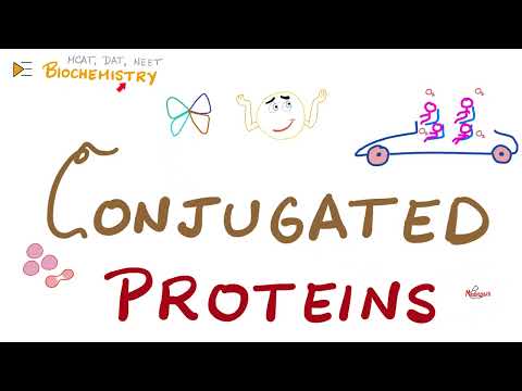 Conjugated Estrogens Conjubrook 0.625