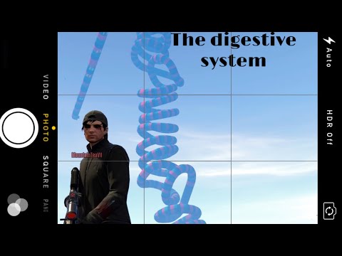 GTA Online:The digestive system race