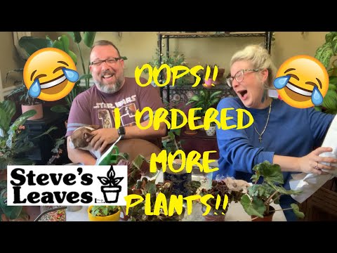 RARE BEGONIA UNBOXING | STEVES LEAVES | OOPS MORE PLANTS MY BAD