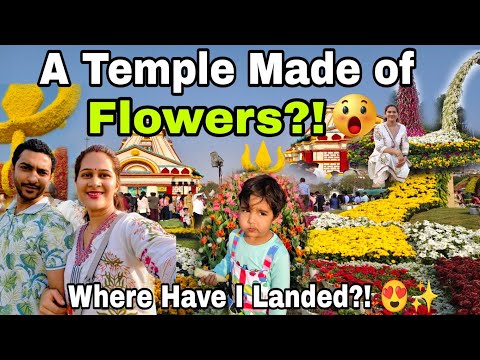 We Celebrated Our Anniversary in a Flower Paradise! 😲🌸| Flower's Special vlog❤️| Manishasukant |