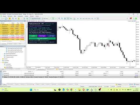 Video Trade Journal Auto
