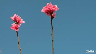 Christ Be beside Me - Ryan Chimzar