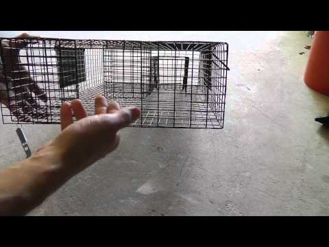 Ratinator Unboxing \u0026 Review #ratinator #rattrap #ratcontrol
