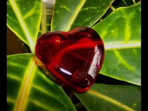 DE QUE COLOR ES EL AMOR, tlacanzon