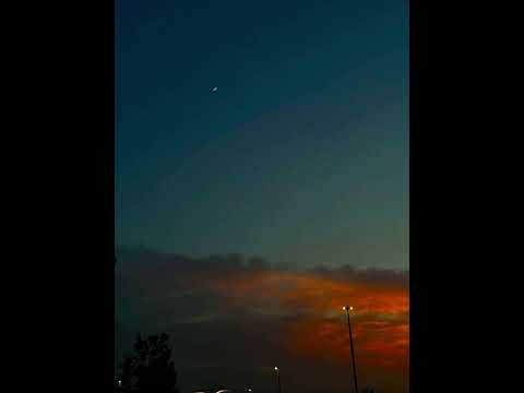 ლამპიონებთან🤍