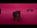 APTOII