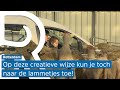 Honderden lammetjes te bezoeken bij de drive-through in Rotterdam
