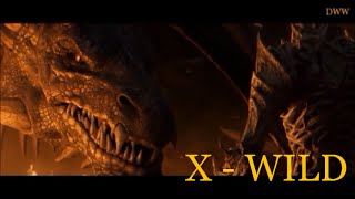 X-WILD - Dragonslair.