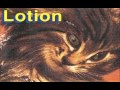 Lotion, song She Is Weird City