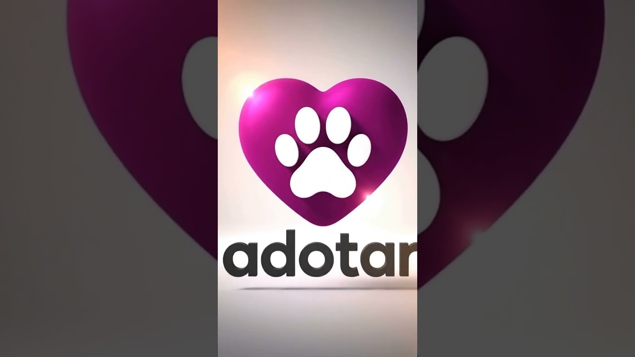 Gato raça SRD-ViraLata idade 2 a 6 meses nome sem nome