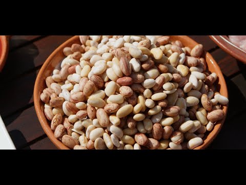 Fasolia Vanilies Feneou PGI & Fasolia Kattavias Rodou PGI