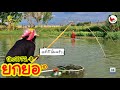 ยกยอ สระเหมา Fishing Lifestyle Ep 415