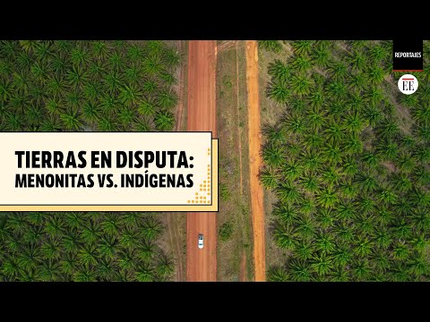 La disputa por tierras entre menonitas e indígenas en Puerto Gaitán | El Espectador