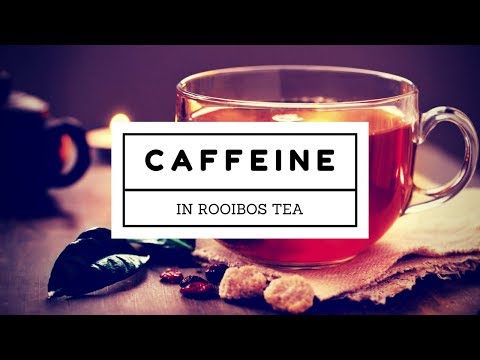 download lagu mp3 mp4 Rooibos Tea Decaf, download lagu Rooibos Tea Decaf gratis, unduh video klip Rooibos Tea Decaf