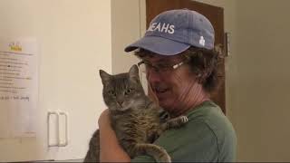 NEA Animal Shelter Tackling Overcrowding with ASPCA Program