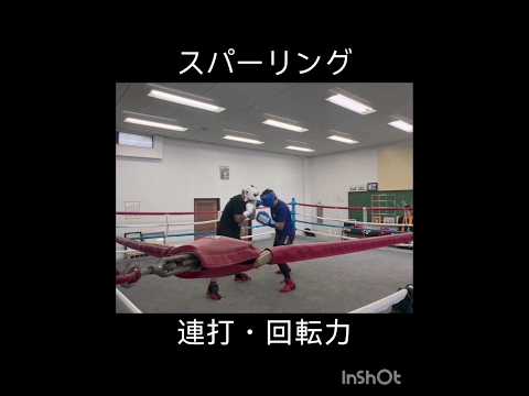 【スパーリング】絶対に怪我しないやり方 #shorts #boxing #軽め #スパーリング