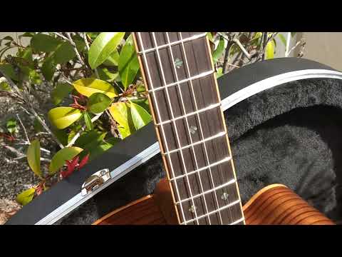 Zager ZAD900CE 50th Anniversary Acoustic Guitar w/Fishman Auro Pro Pickup - Mint 2023 - Scratch Resistant Sunburst image 16