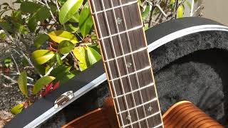 Video thumbnail for New 2019 Zager ZAD900CE Acoustic Electric Guitar quick overview. by Zager EZ-Play Guitars