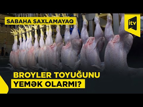 Broyler toyuğu zərərlidirmi? | “Sabaha saxlamayaq”, 08.01.2026