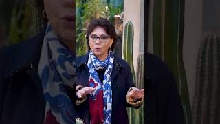 🌍«Աշխարհի հայերը». Թերեզա Դուրովա
