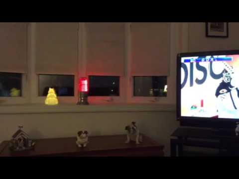 Budweiser Red Light in action: New York Rangers