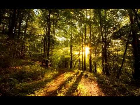 Deadmau5 Arguru (edx's 5un5hine remix)
