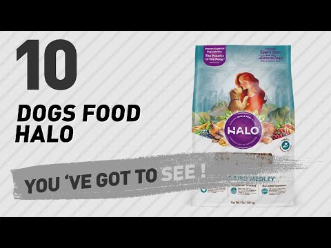 Dogs Food Halo // Top 10 Most Popular