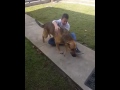 Le garçon de 11 ans avait perdu son chien depuis des mois. Puis la caméra capte cette scène extrêmement touchante!