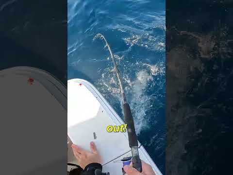 これまでに見たことのない最も狂気のマグロ釣り!