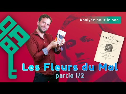 Les Fleurs du Mal de Baudelaire, analyse en 6 questions pour l'oral ou la dissertation Bac 2024 1/2