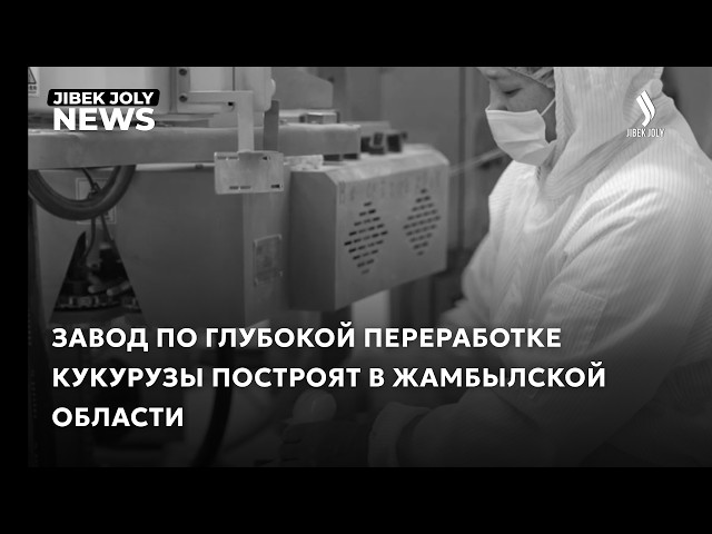 Глава государства дал старт строительству завода по переработке кукурузы