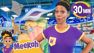 Meekah’s Animal Adventure!i | Playtime and Learning Fun | Guess What We Found | Fun Facts for Kids