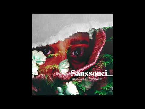 Bakoda a.k.a. Evan Awake - Vavebnq